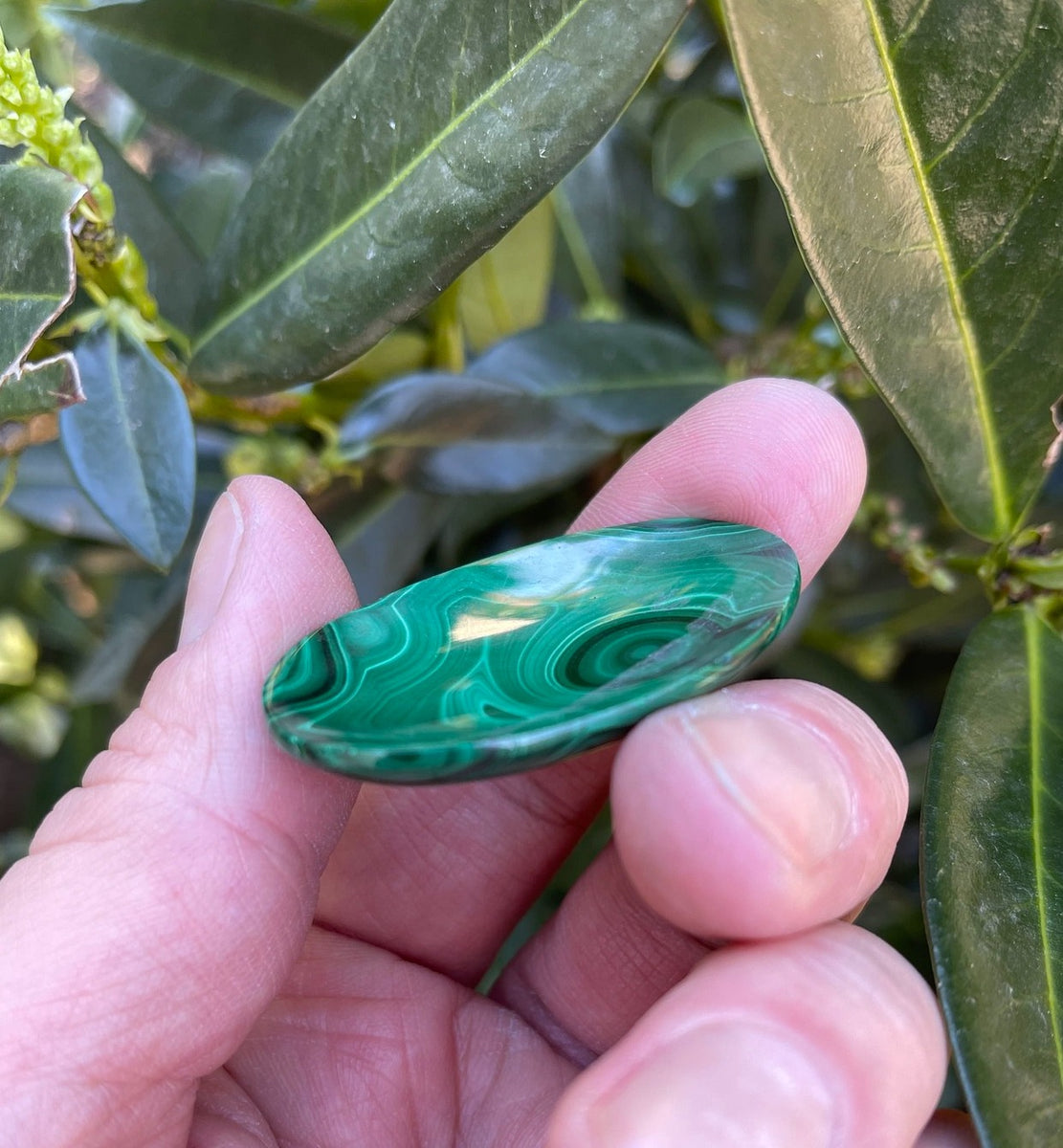 Malachit Stein Plug (5-14mm) Grün | Fly Style Webshop