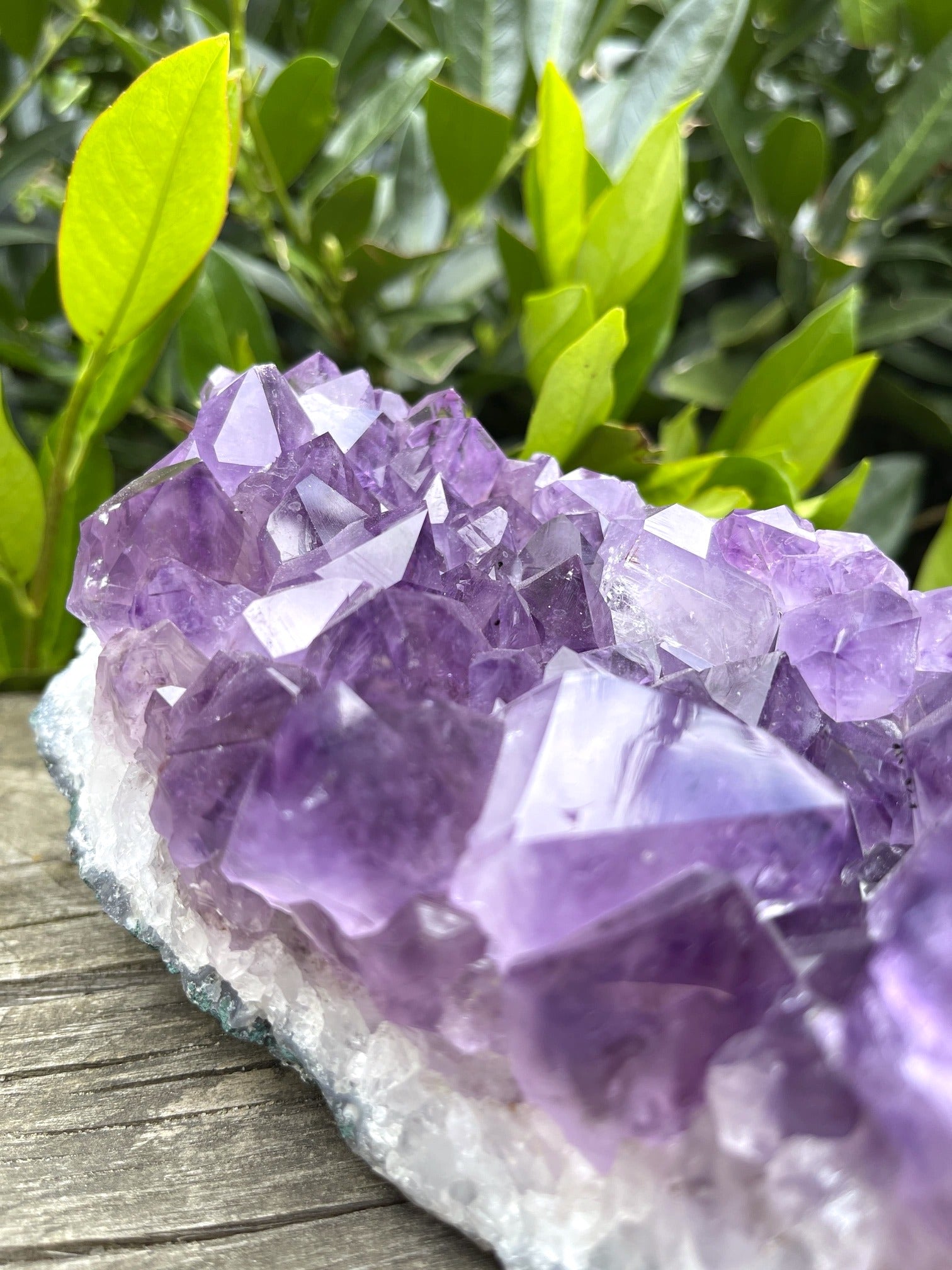 XL Amethyst-Designstück (AA-Qualität)