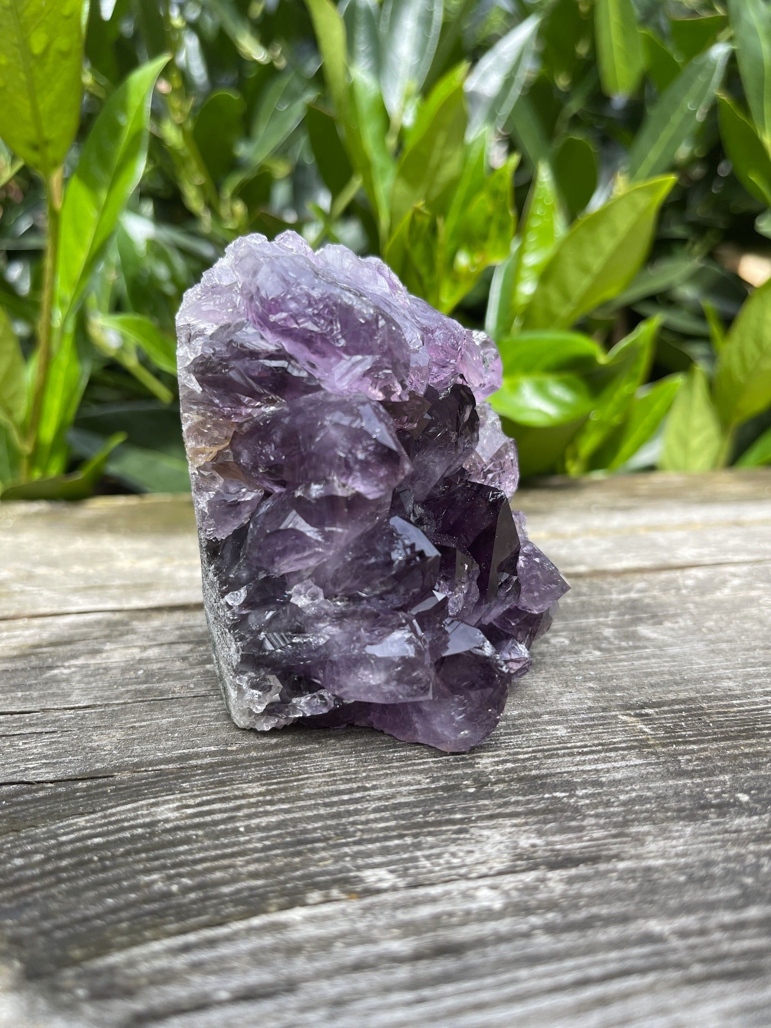 Uruguay Amethyst Designstück (AAA-Qualität)