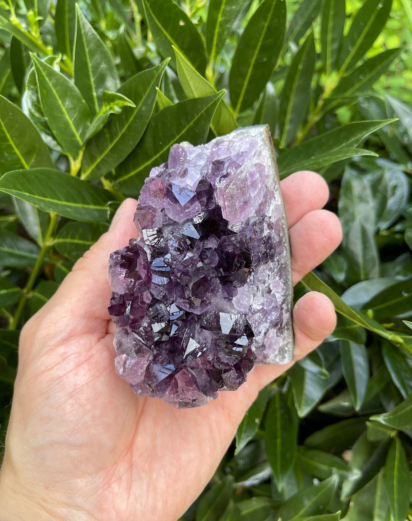 Großes Uruguay Amethyst Designstück (AAA-Qualität)
