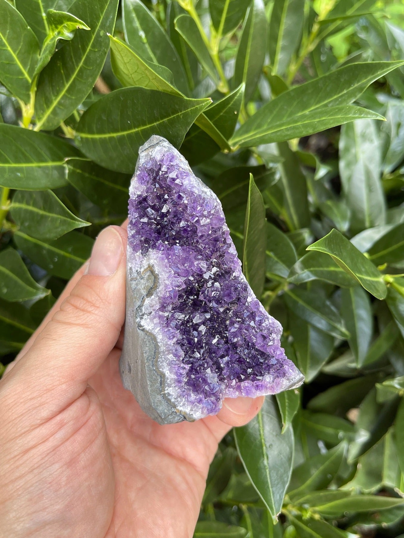 Uruguay Amethyst Designstück (AAA-Qualität)