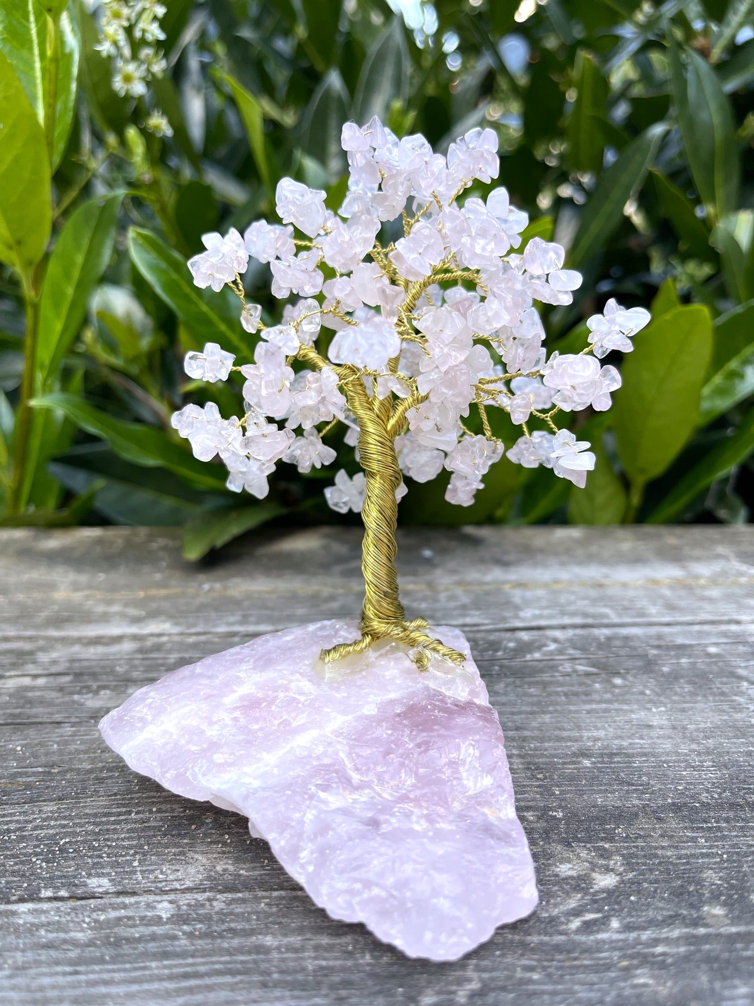 Liebeserklärung - Glücksbaum aus Rosenquarz (Basis), Rosenquarz (Blätter)