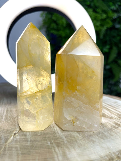 Golden Healer Spitze (teilw. A-Qualität)
