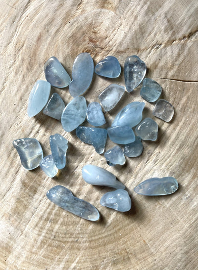 Aquamarin Trommelsteine - im Gold-Beutel (sehr gute Qualität)