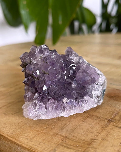 Amethyst Designstück - mit Igel (Schöne Qualität)