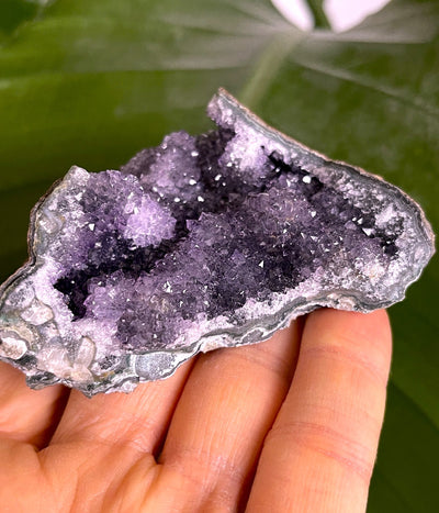 Amethyst Designstück - mit Igel (Schöne Qualität)