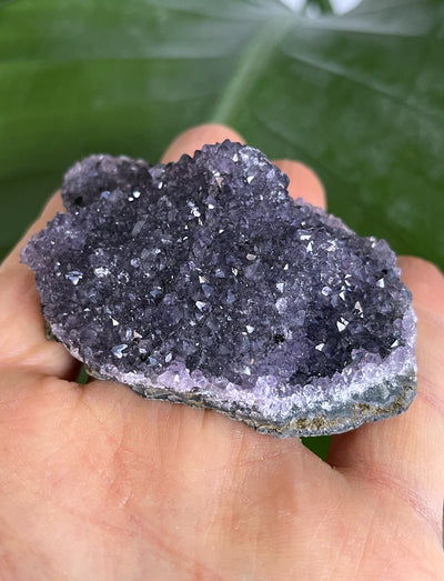 Amethyst Designstück - mit Igel (Schöne Qualität)