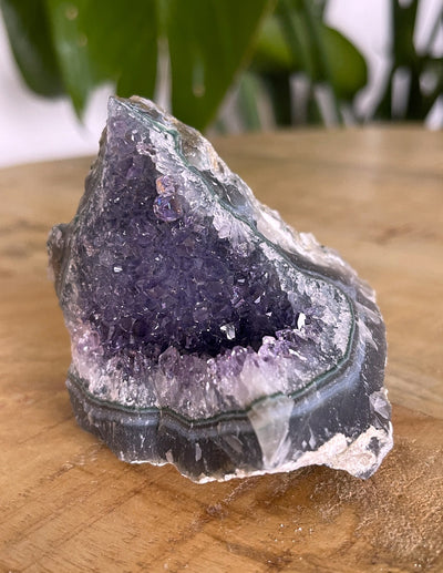 Stehendes Amethyst Designstück (Schöne Qualität)