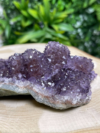 Großes Amethyst Designstück - mit 4 Igel (Schöne Qualität)