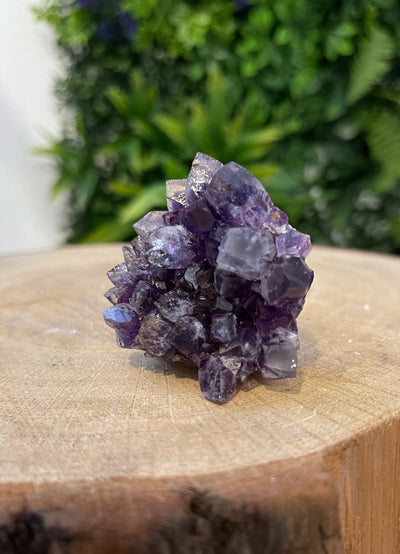 Stehendes Uruguay Amethyst Designstück (AAA-Qualität)