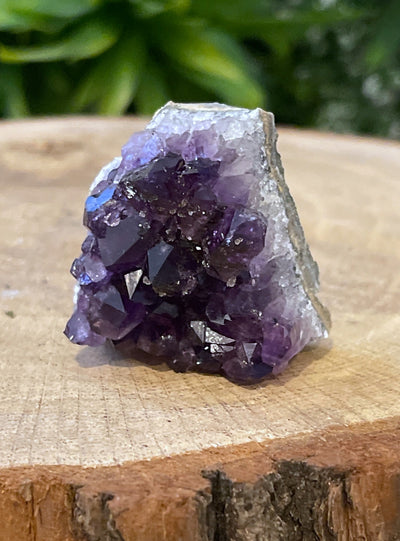 Kleines, stehendes Uruguay Amethyst Designstück (AAA-Qualität)