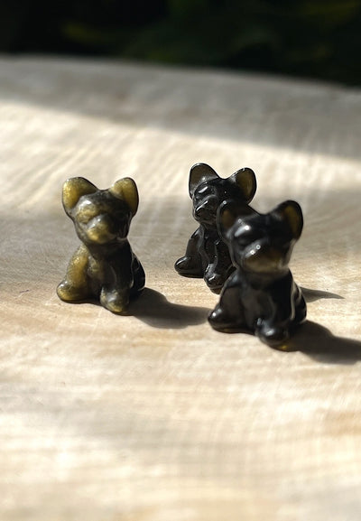 Gold-Obsidian - Hund