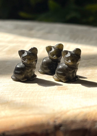Gold-Obsidian - Katze