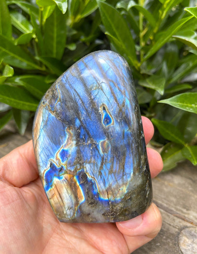 Blauer Labradorit - Designstück (A-Qualität)