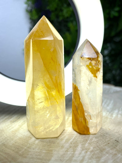 XL Golden Healer Spitze (teilw. A-Qualität)