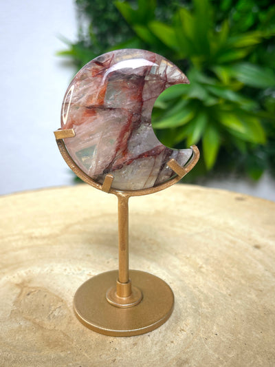 Red Healer Mond auf Gold-Ständer (A-Qualität)