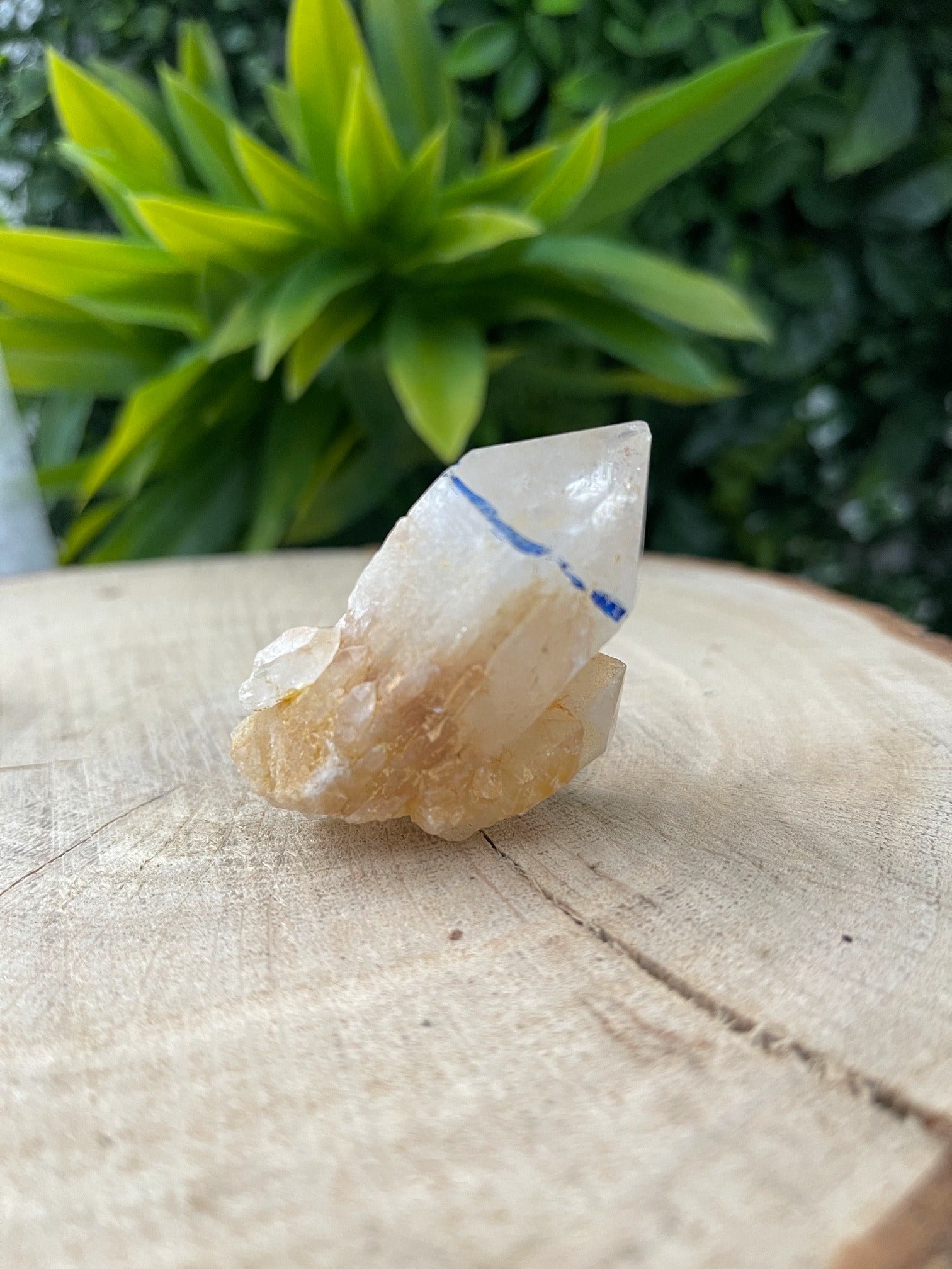 Bergkristall mit Wassereinschluss (Selten)